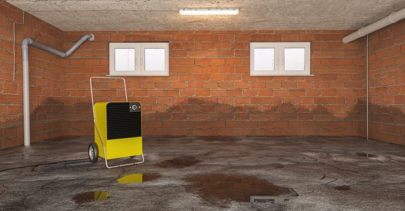 Basement Water Cleanup detail