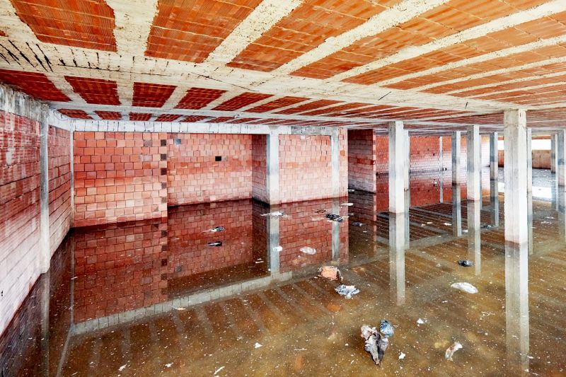 Flood Damage Cleanup detail