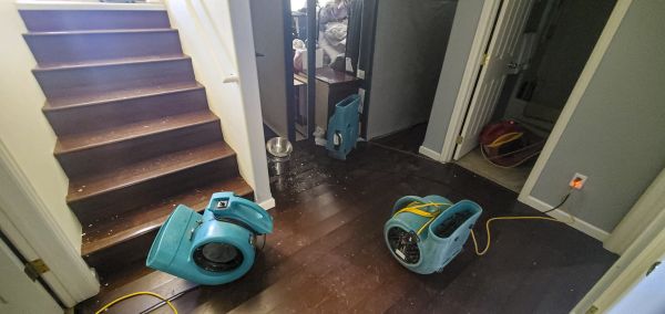 Cost of Water Damage Remediation in Haverhill