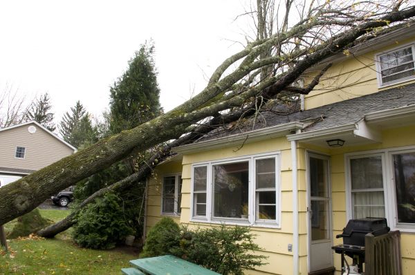 Cost of Hurricane Damage Repair in Haverhill